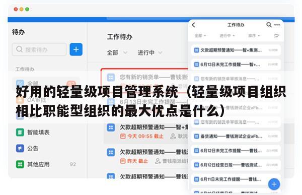 好用的轻量级项目管理系统（轻量级项目组织相比职能型组织的最大优点是什么）