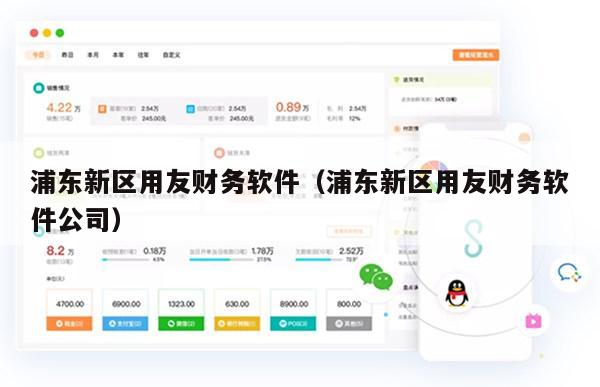 浦东新区用友财务软件（浦东新区用友财务软件公司）