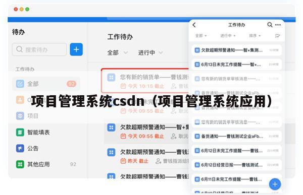 项目管理系统csdn（项目管理系统应用）