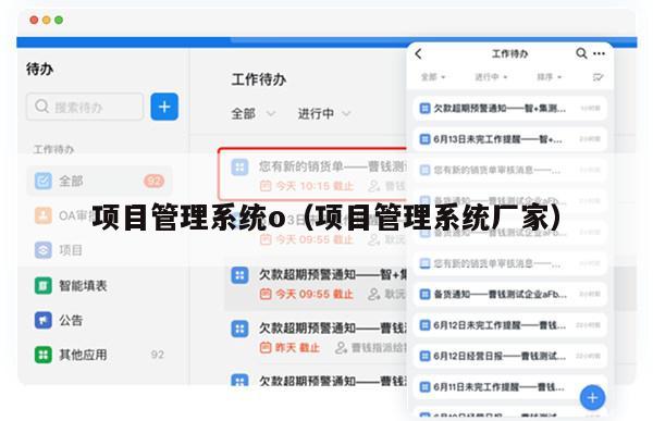 项目管理系统o（项目管理系统厂家）