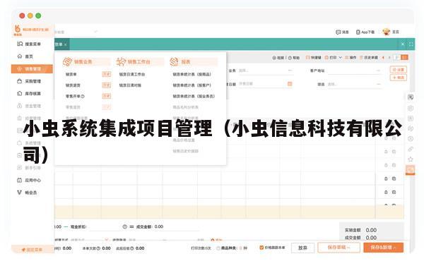 小虫系统集成项目管理（小虫信息科技有限公司）