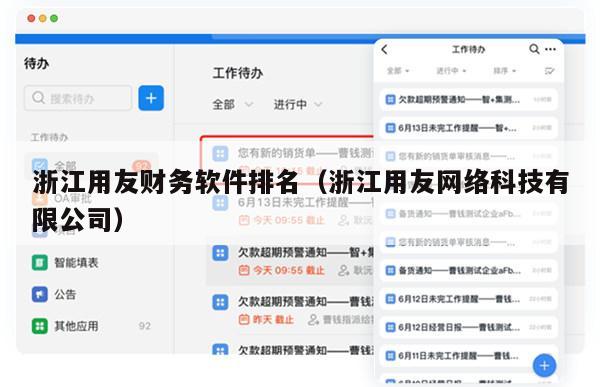 浙江用友财务软件排名（浙江用友网络科技有限公司）
