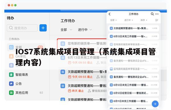 IOS7系统集成项目管理（系统集成项目管理内容）