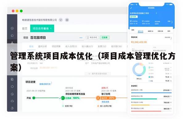 管理系统项目成本优化（项目成本管理优化方案）