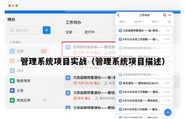 管理系统项目实战（管理系统项目描述）