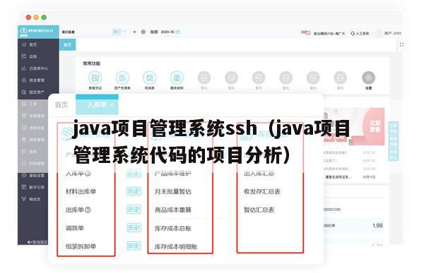 java项目管理系统ssh（java项目管理系统代码的项目分析）