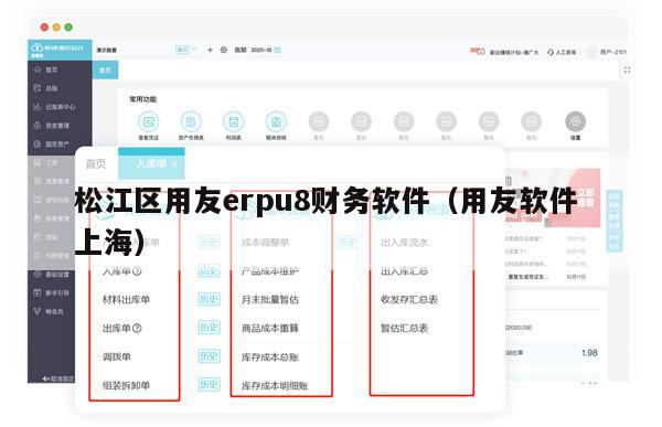 松江区用友erpu8财务软件（用友软件 上海）