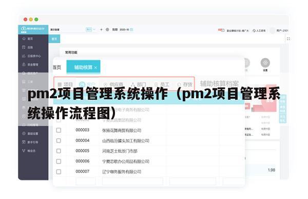 pm2项目管理系统操作（pm2项目管理系统操作流程图）