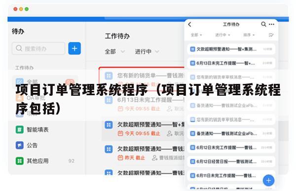 项目订单管理系统程序（项目订单管理系统程序包括）