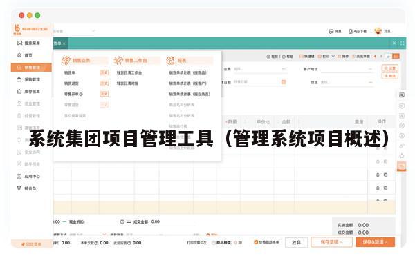 系统集团项目管理工具（管理系统项目概述）