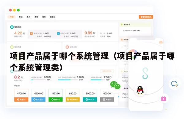 项目产品属于哪个系统管理（项目产品属于哪个系统管理类）