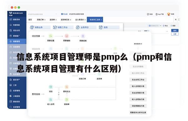 信息系统项目管理师是pmp么（pmp和信息系统项目管理有什么区别）