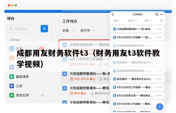 成都用友财务软件t3（财务用友t3软件教学视频）