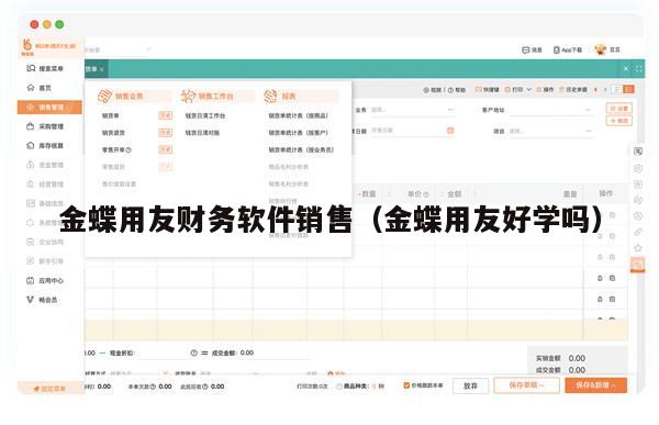 金蝶用友财务软件销售（金蝶用友好学吗）