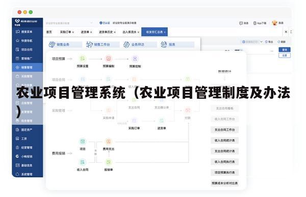 农业项目管理系统（农业项目管理制度及办法）