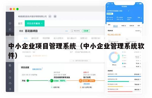 中小企业项目管理系统（中小企业管理系统软件）