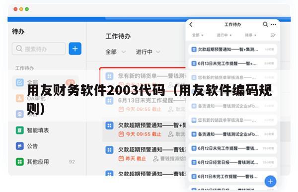 用友财务软件2003代码（用友软件编码规则）