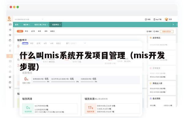 什么叫mis系统开发项目管理（mis开发步骤）