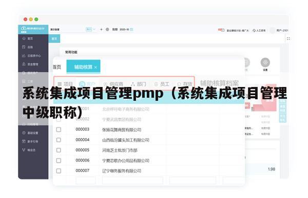 系统集成项目管理pmp（系统集成项目管理中级职称）