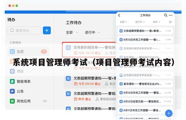 系统项目管理师考试（项目管理师考试内容）