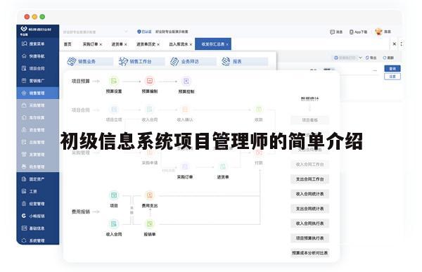 初级信息系统项目管理师的简单介绍