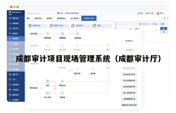 成都审计项目现场管理系统（成都审计厅）