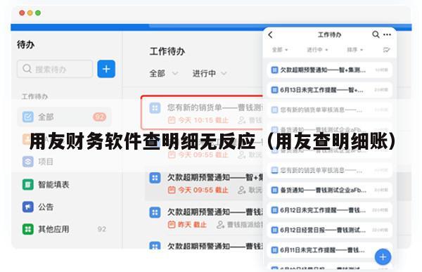 用友财务软件查明细无反应（用友查明细账）