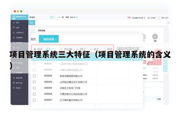 项目管理系统三大特征（项目管理系统的含义）