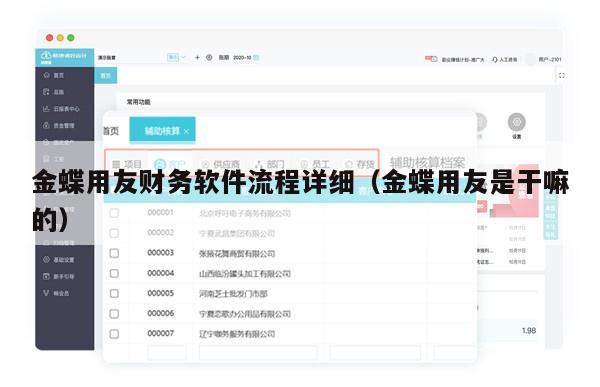 金蝶用友财务软件流程详细（金蝶用友是干嘛的）