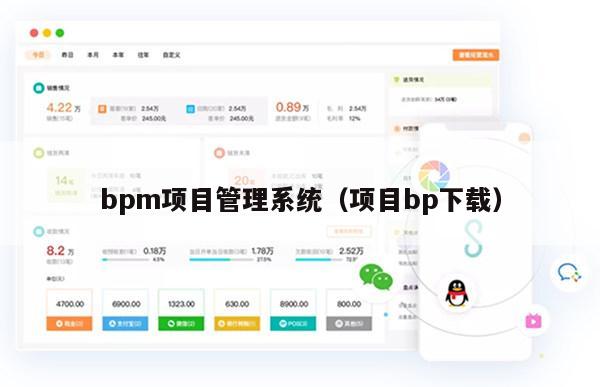 bpm项目管理系统（项目bp下载）