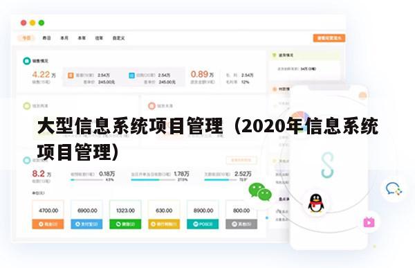 大型信息系统项目管理（2020年信息系统项目管理）