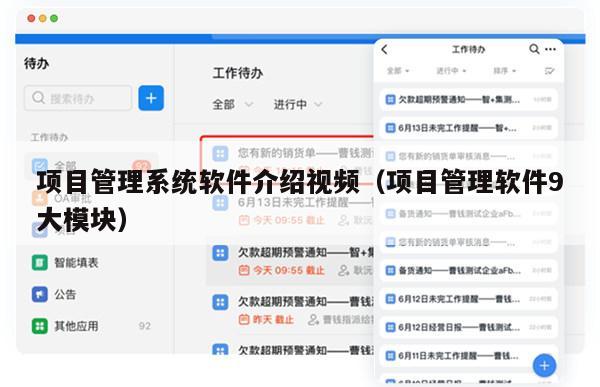 项目管理系统软件介绍视频（项目管理软件9大模块）