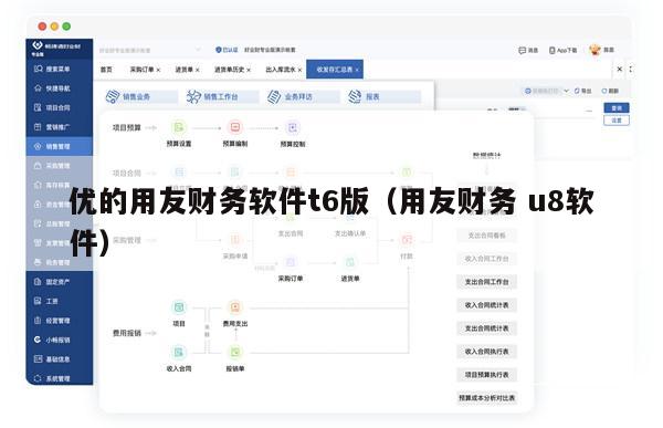 优的用友财务软件t6版（用友财务 u8软件）