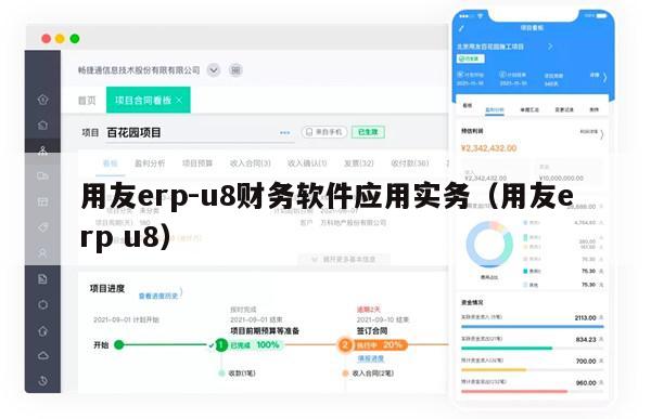 用友erp-u8财务软件应用实务（用友erp u8）