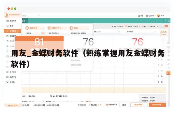 用友_金蝶财务软件（熟练掌握用友金蝶财务软件）