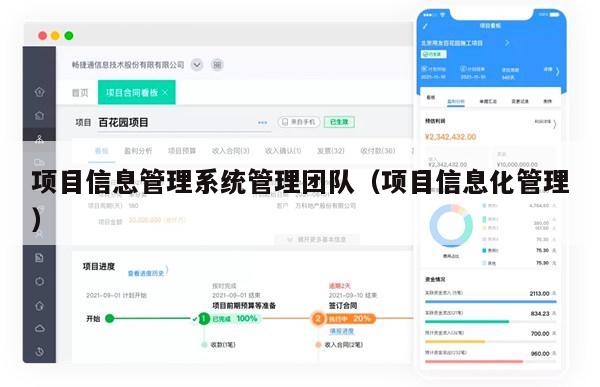 项目信息管理系统管理团队（项目信息化管理）