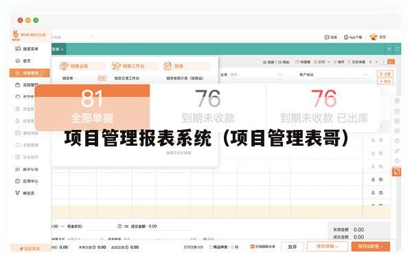 项目管理报表系统（项目管理表哥）