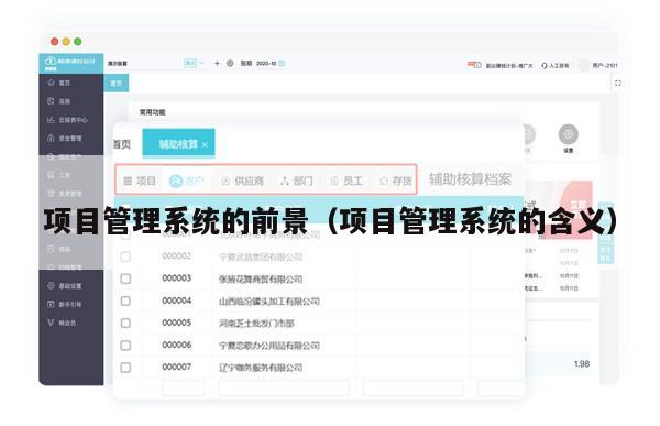 项目管理系统的前景（项目管理系统的含义）