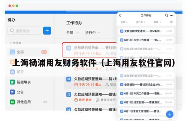上海杨浦用友财务软件（上海用友软件官网）