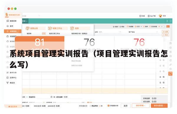 系统项目管理实训报告（项目管理实训报告怎么写）