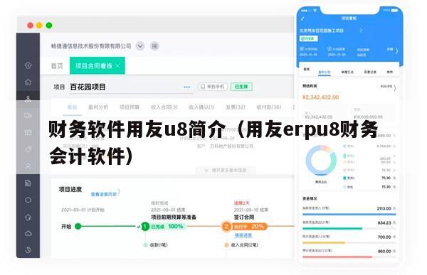 财务软件用友u8简介（用友erpu8财务会计软件）