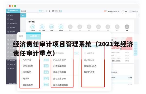 经济责任审计项目管理系统（2021年经济责任审计重点）