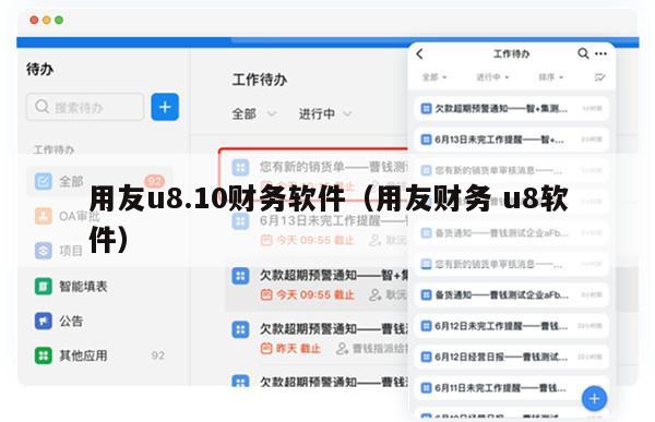 用友u8.10财务软件（用友财务 u8软件）