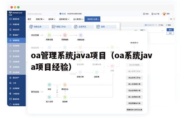 oa管理系统java项目（oa系统java项目经验）