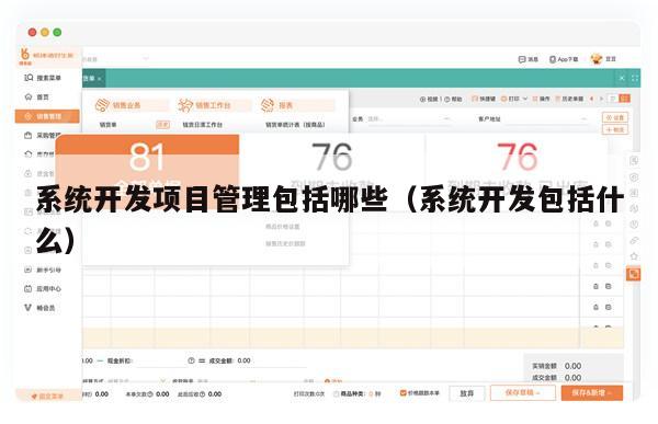 系统开发项目管理包括哪些（系统开发包括什么）
