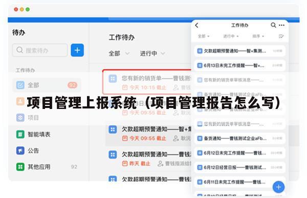 项目管理上报系统（项目管理报告怎么写）