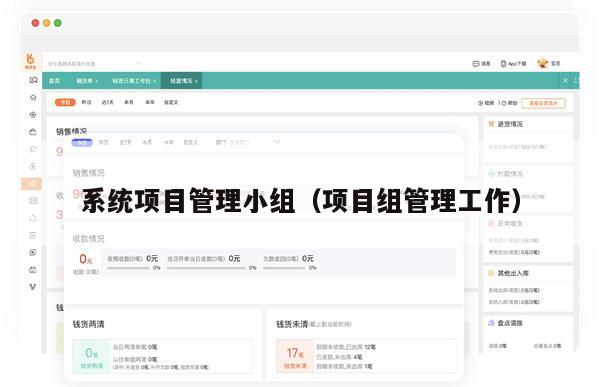 系统项目管理小组（项目组管理工作）