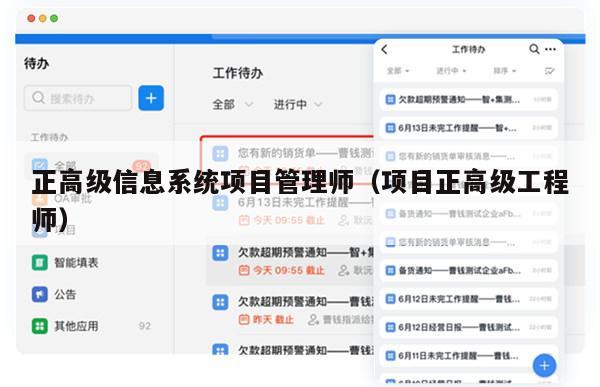正高级信息系统项目管理师（项目正高级工程师）
