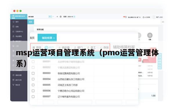 msp运营项目管理系统（pmo运营管理体系）