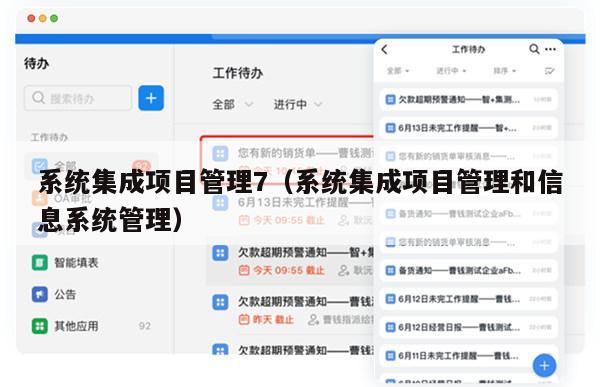 系统集成项目管理7（系统集成项目管理和信息系统管理）